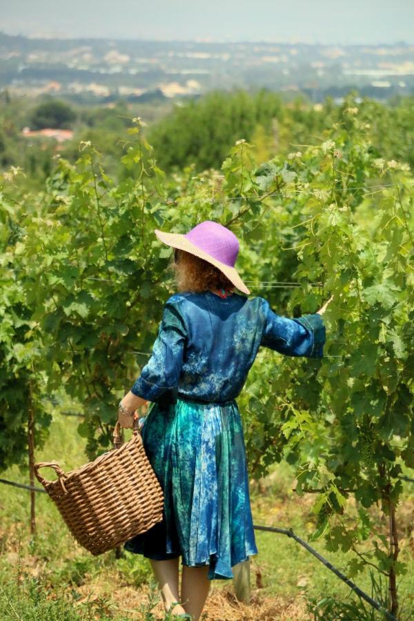 Quinta Da Chapeleira Em Azeitao别墅 外观 照片