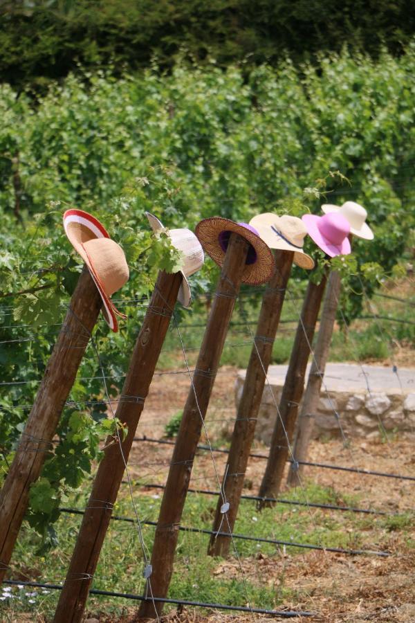 Quinta Da Chapeleira Em Azeitao别墅 外观 照片